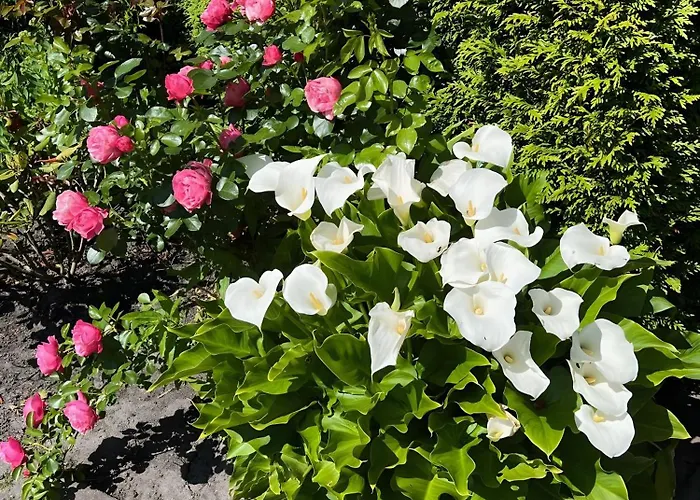 Ilse Hans Apartment *