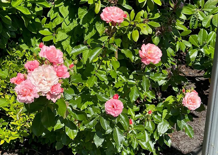 Apartment Ilse Hans Horumersiel